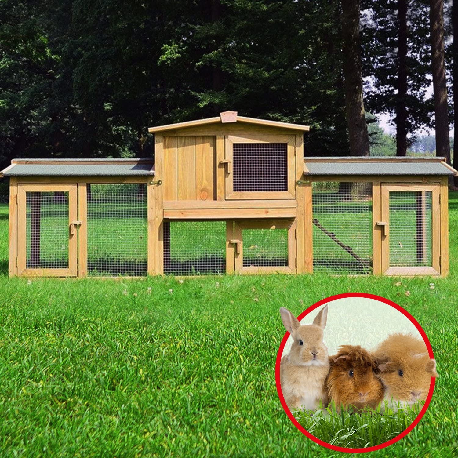 Clapier lapin bois